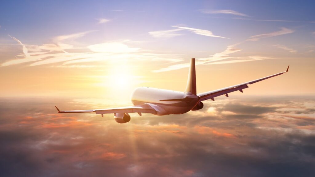 flight