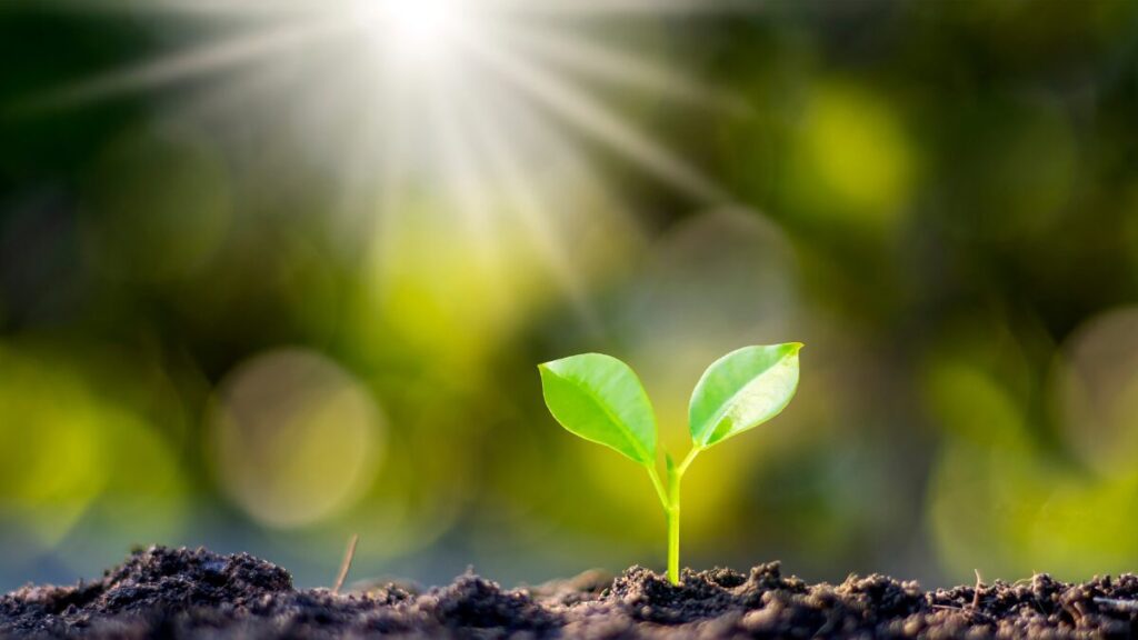 vision_and_hope