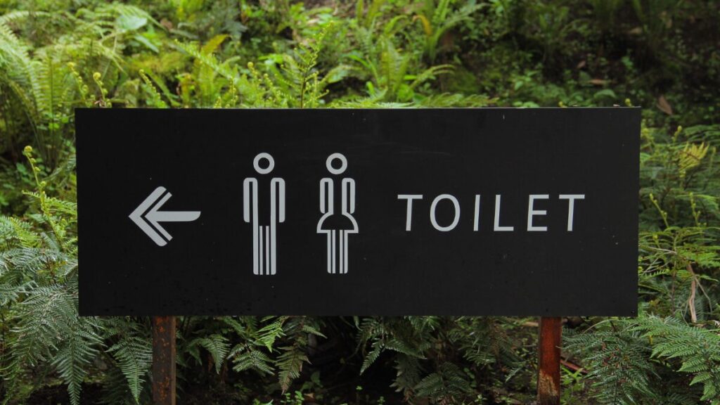 toilet-image